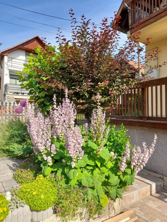 Ferienwohnung Harmonia Vendeghaz 100 Meterre Az Igali Gyogyfuerdotol Exterior foto