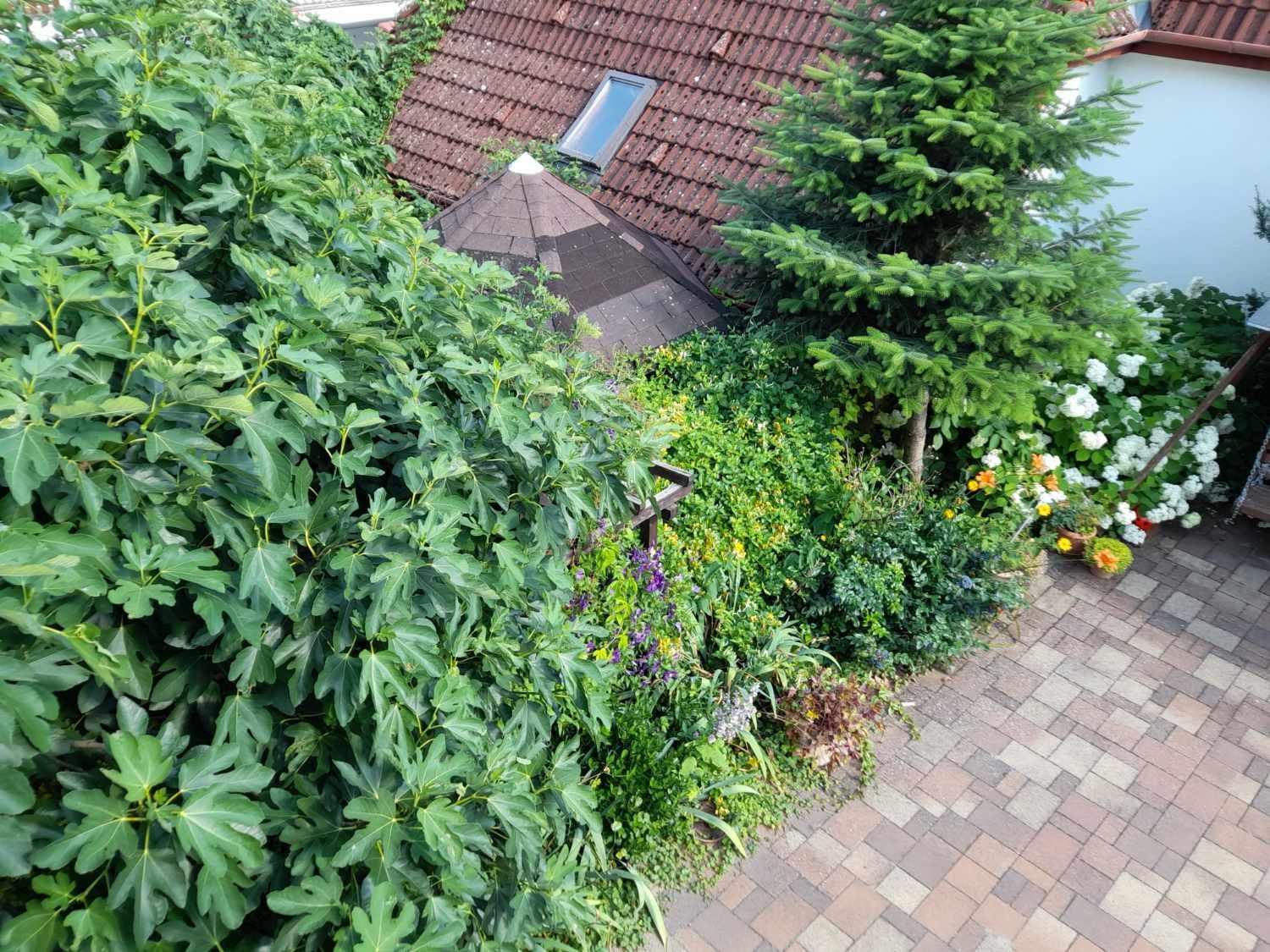 Ferienwohnung Harmonia Vendeghaz 100 Meterre Az Igali Gyogyfuerdotol Exterior foto