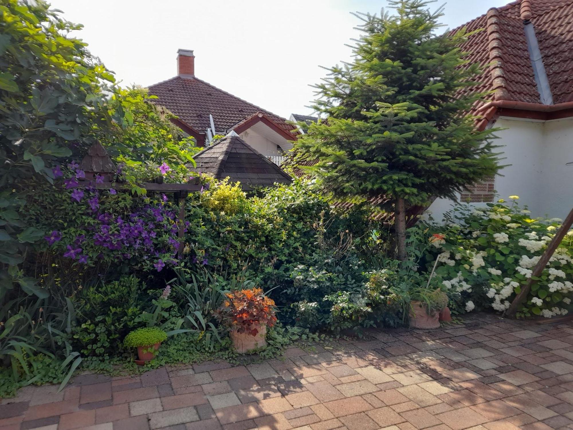 Ferienwohnung Harmonia Vendeghaz 100 Meterre Az Igali Gyogyfuerdotol Exterior foto